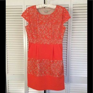 Cremieux Orange Lace Dress XS
